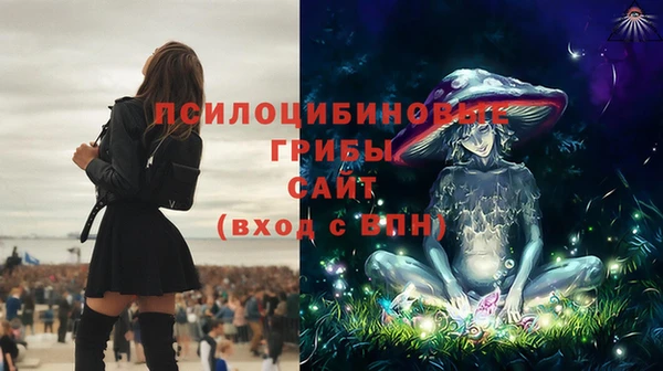 не бодяженный Краснотурьинск
