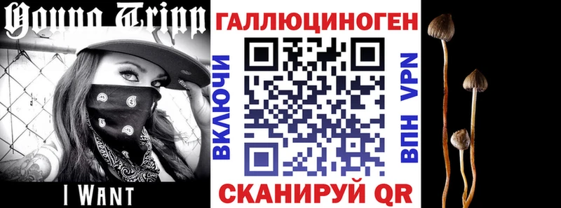Псилоцибиновые грибы прущие грибы  цены   Темрюк 