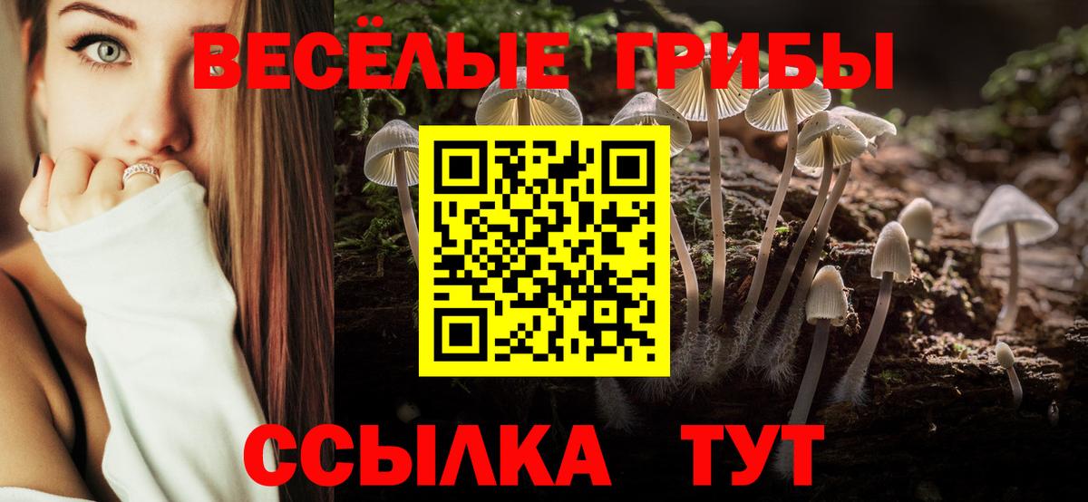 Псилоцибиновые грибы Magic Shrooms Темрюк